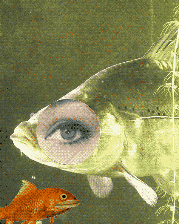 Post para la convocatoria de mesas del festivalico. Quedan cuatro días, para el fin de la convocatoria.